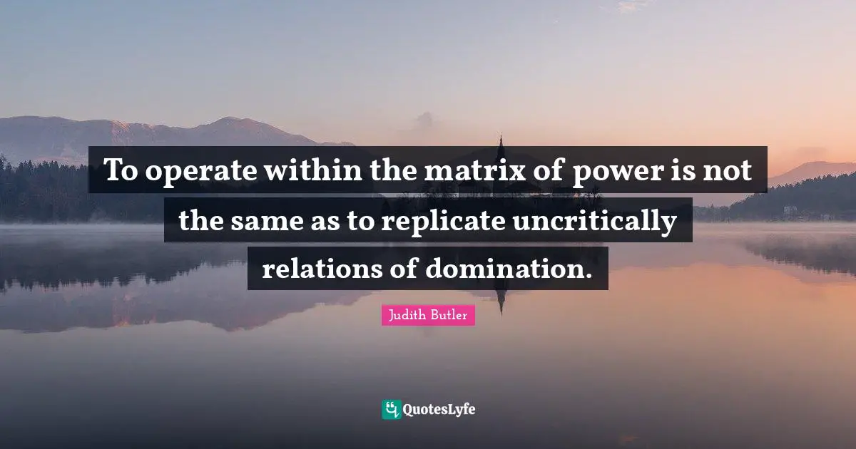 Judith Butler Quotes: To operate within the matrix of power is not the same as to replicate uncritically relations of domination.