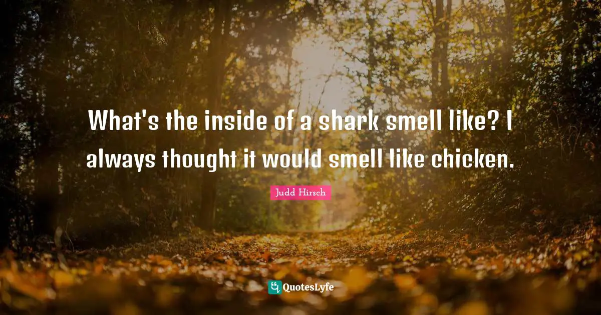 What's the inside of a shark smell like? I always thought it would smell like chicken.