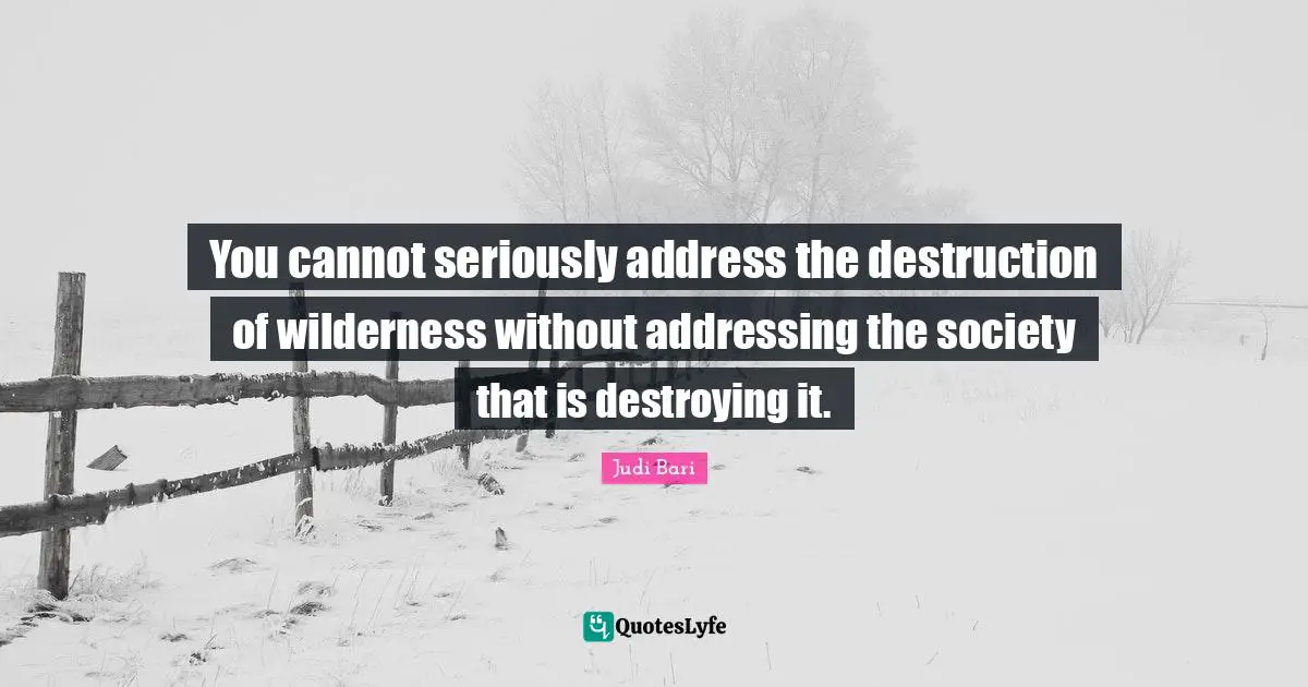 Addresses Quotes: "You cannot seriously address the destruction of wilderness without addressing the society that is destroying it."
