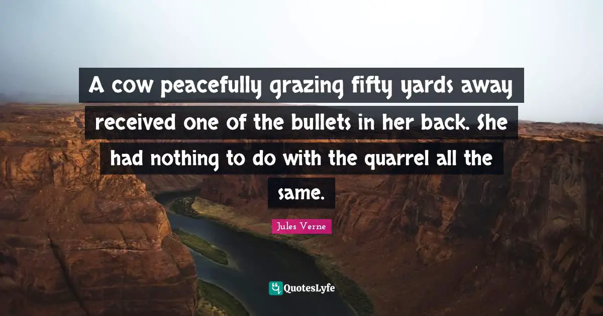 A cow peacefully grazing fifty yards away received one of the bullets in her back. She had nothing to do with the quarrel all the same.
