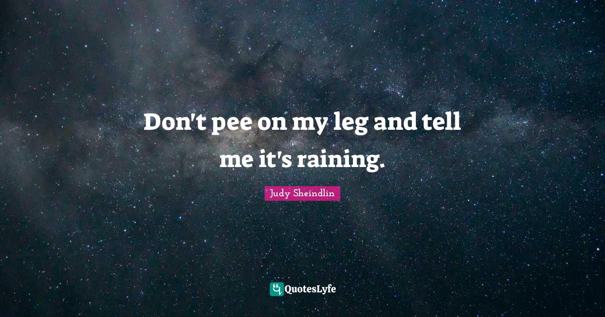Don't pee on my leg and tell me it's raining.... Quote by Judy