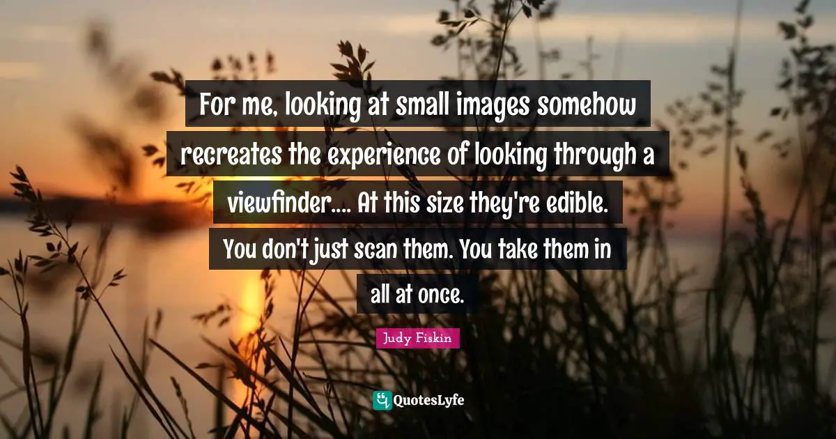 For me, looking at small images somehow recreates the experience of looking through a viewfinder.... At this size they're edible. You don't just scan them. You take them in all at once.