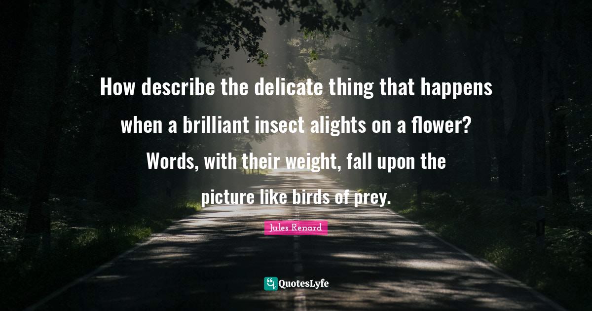 How describe the delicate thing that happens when a brilliant insect a