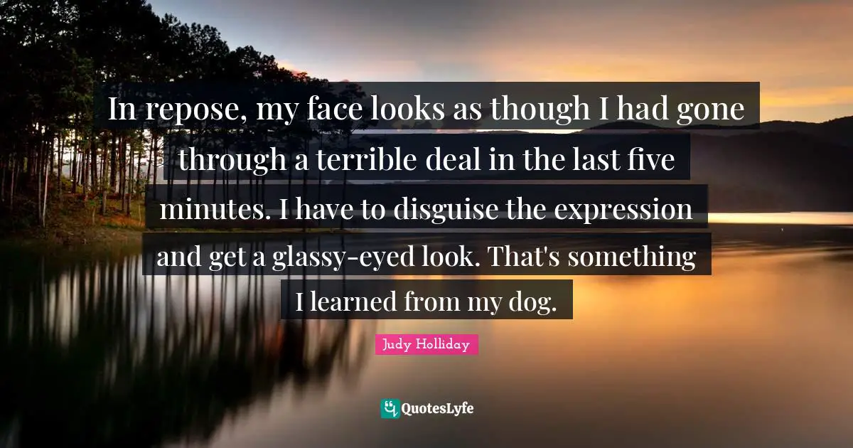 In repose, my face looks as though I had gone through a terrible deal in the last five minutes. I have to disguise the expression and get a glassy-eyed look. That's something I learned from my dog.
