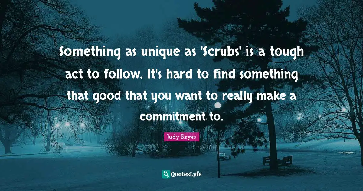 Something as unique as 'Scrubs' is a tough act to follow. It's hard to find something that good that you want to really make a commitment to.