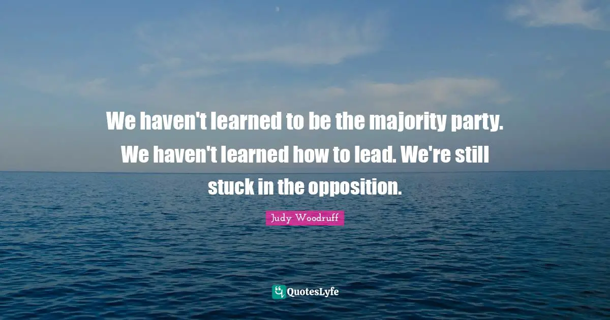 We haven't learned to be the majority party. We haven't learned how to lead. We're still stuck in the opposition.
