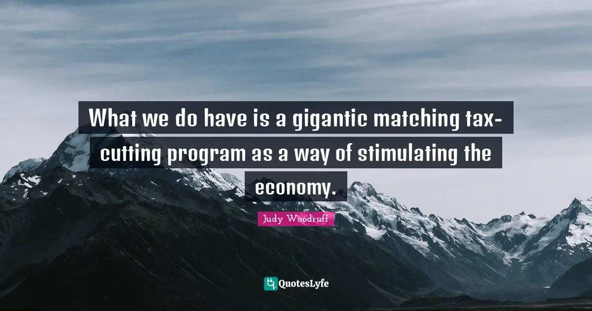 What we do have is a gigantic matching tax-cutting program as a way of stimulating the economy.