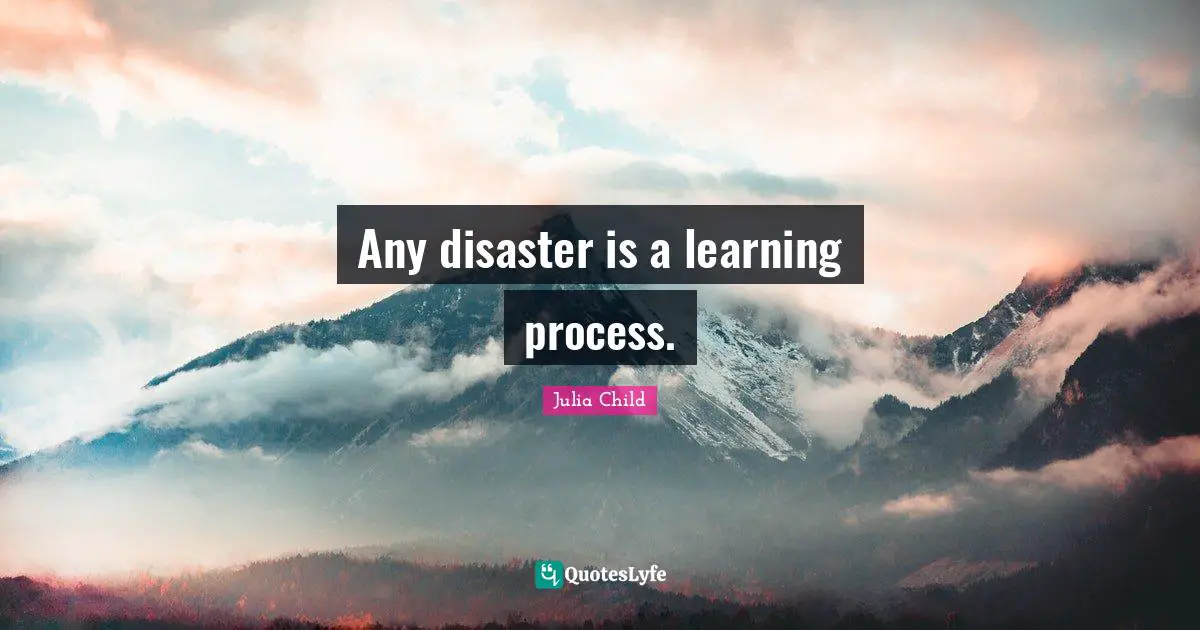 Learning Process Quotes: "Any disaster is a learning process."