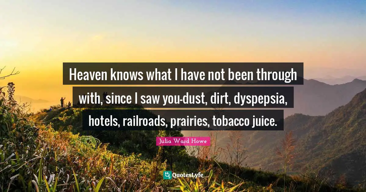 Heaven knows what I have not been through with, since I saw you-dust, dirt, dyspepsia, hotels, railroads, prairies, tobacco juice.