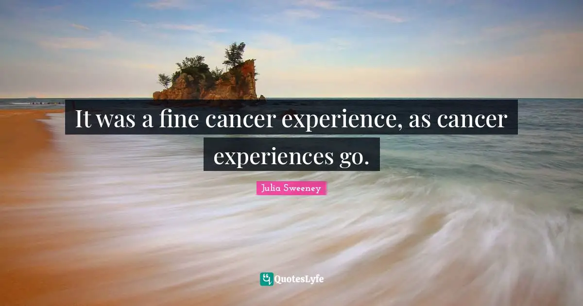 It was a fine cancer experience, as cancer experiences go.