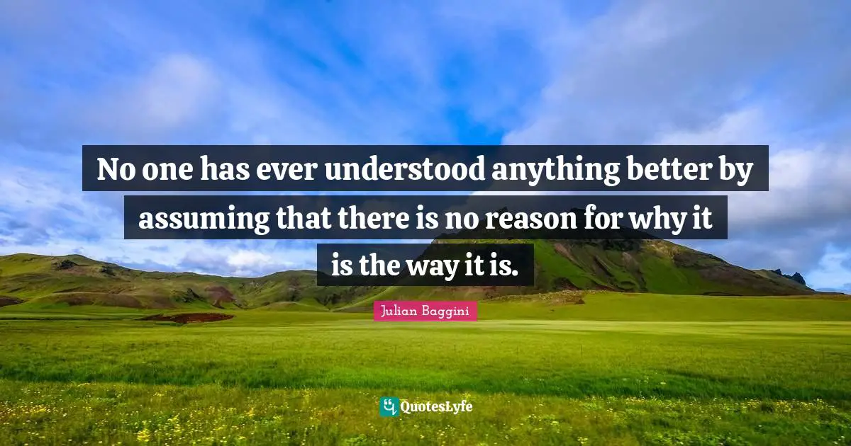 No one has ever understood anything better by assuming that there is no reason for why it is the way it is.