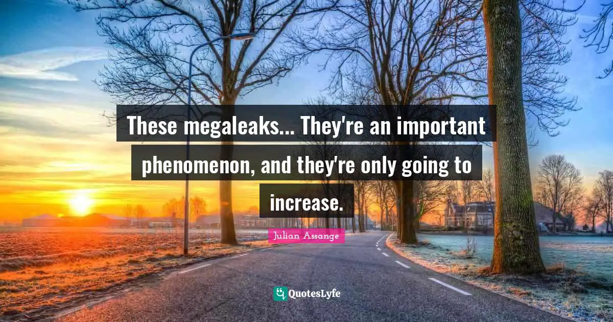 These megaleaks... They're an important phenomenon, and they're only going to increase.