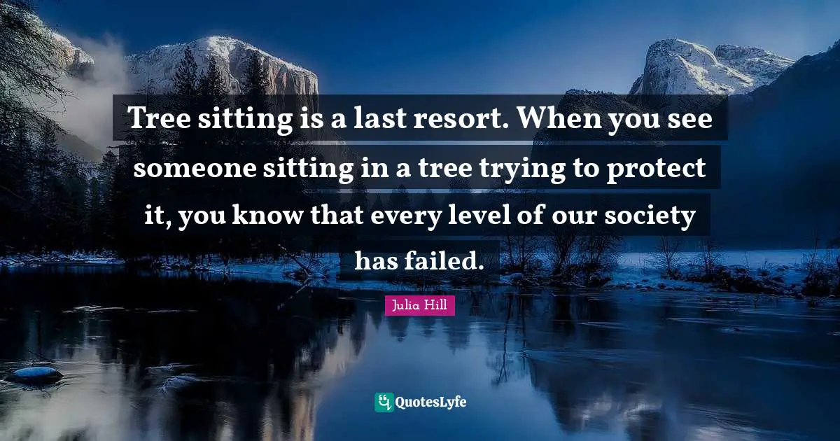 Tree sitting is a last resort. When you see someone sitting in a tree trying to protect it, you know that every level of our society has failed.
