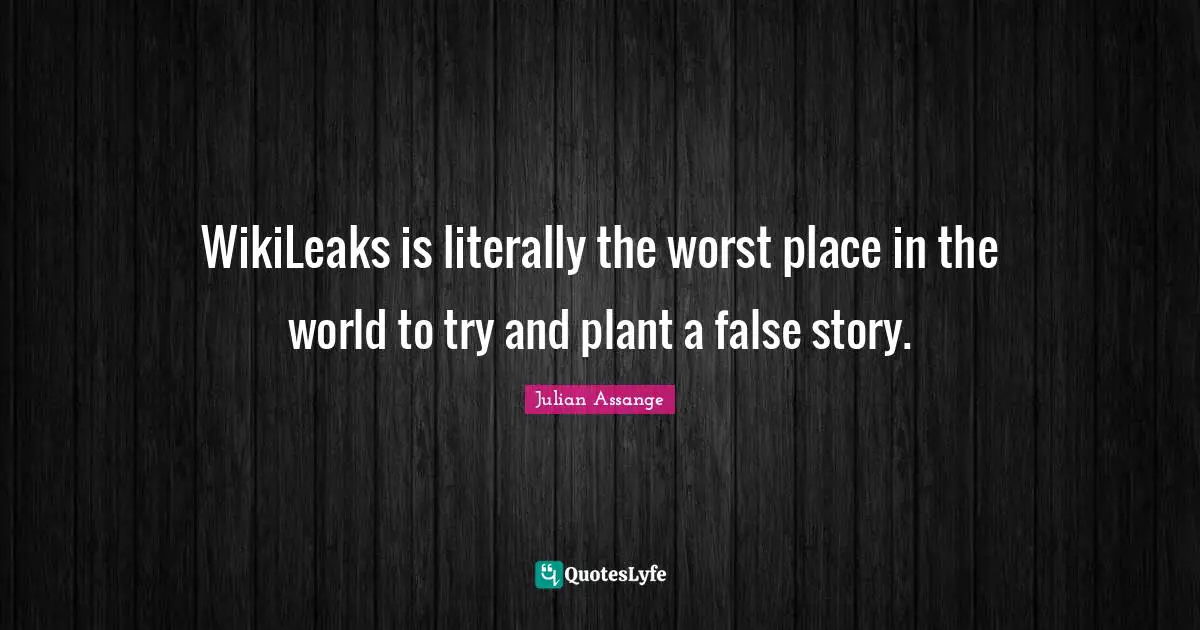 WikiLeaks is literally the worst place in the world to try and plant a false story.