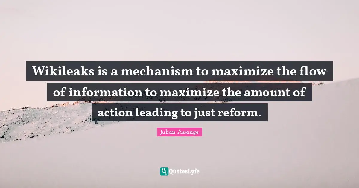 Wikileaks is a mechanism to maximize the flow of information to maximize the amount of action leading to just reform.