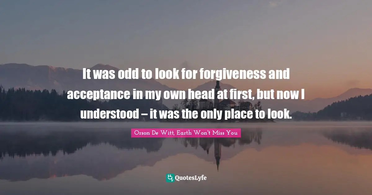 It was odd to look for forgiveness and acceptance in my own head at first, but now I understood – it was the only place to look.
