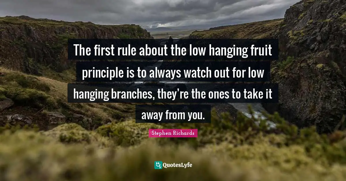 The first rule about the low hanging fruit principle is to always watch out for low hanging branches, they’re the ones to take it away from you.