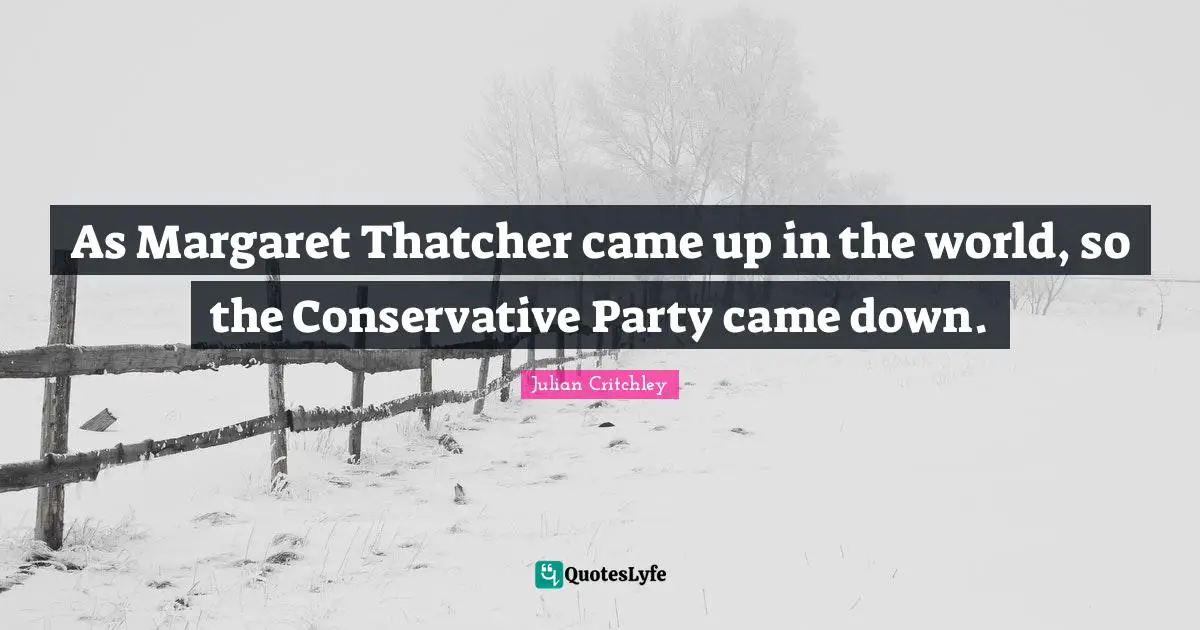 As Margaret Thatcher came up in the world, so the Conservative Party came down.