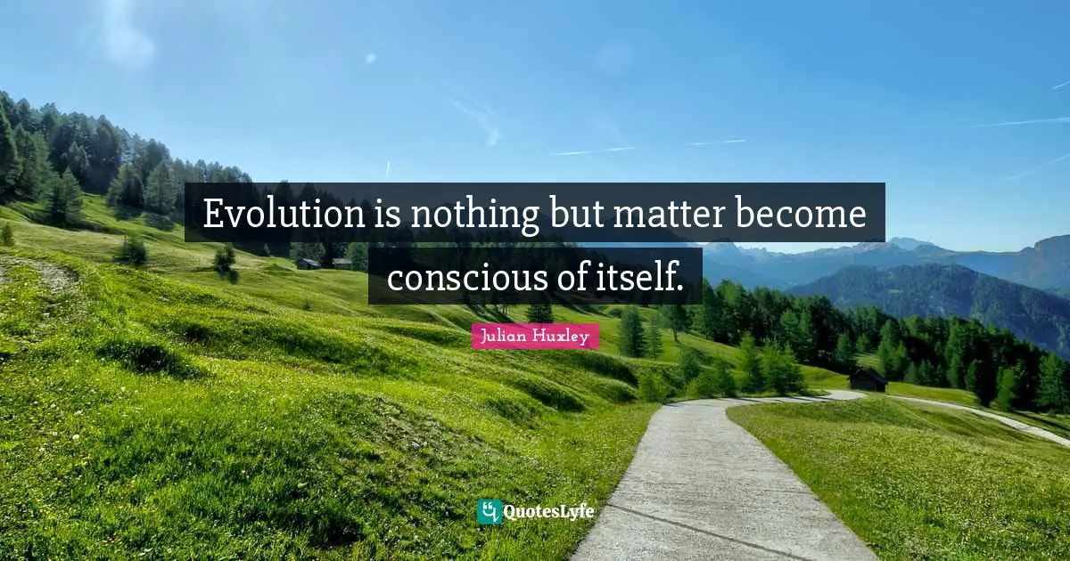 Evolution is nothing but matter become conscious of itself.