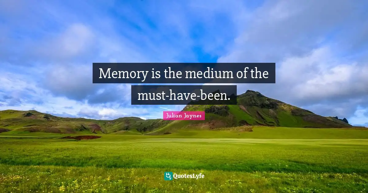 Memory is the medium of the must-have-been.