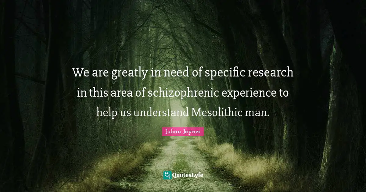 We are greatly in need of specific research in this area of schizophrenic experience to help us understand Mesolithic man.