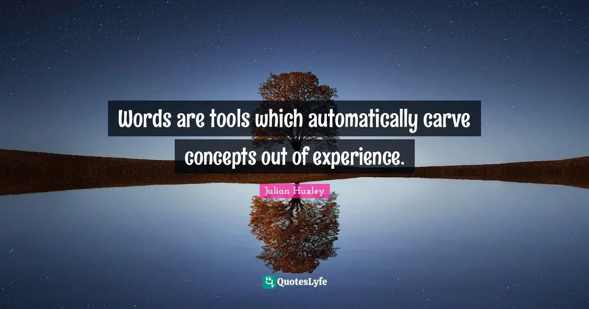 Words are tools which automatically carve concepts out of experience.