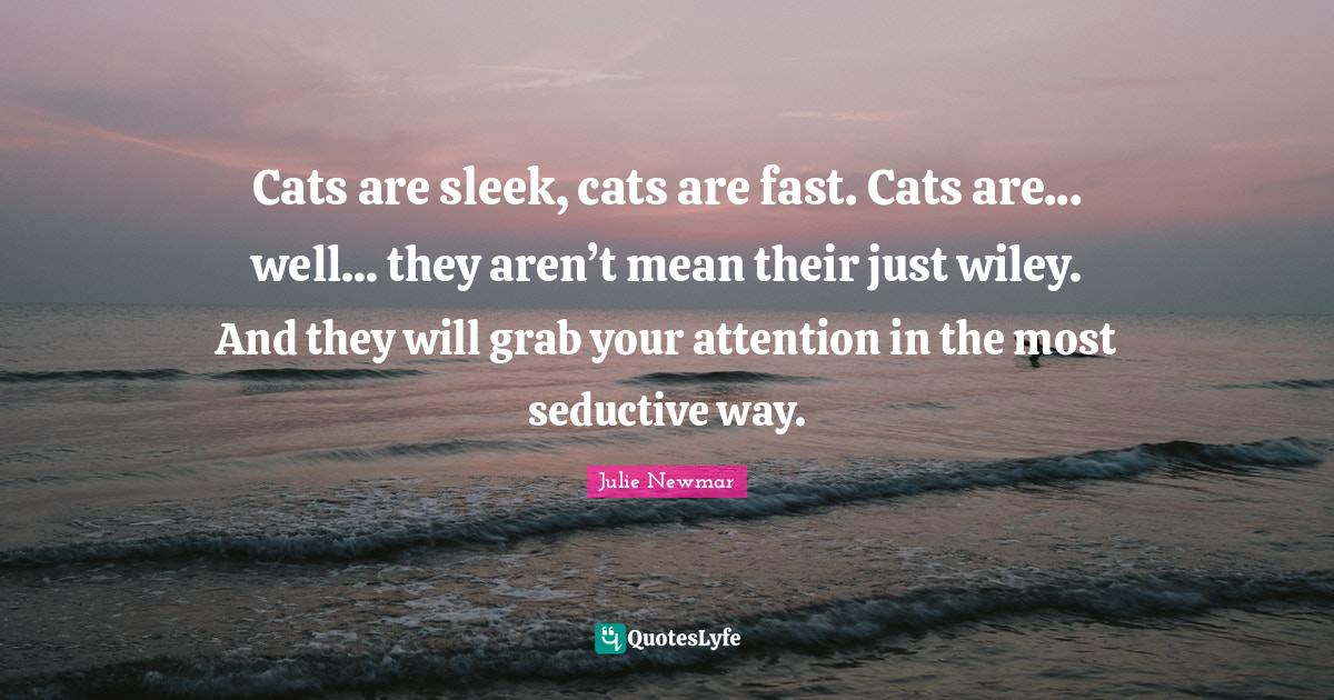 Cats are sleek, cats are fast. Cats are... well... they aren’t mean