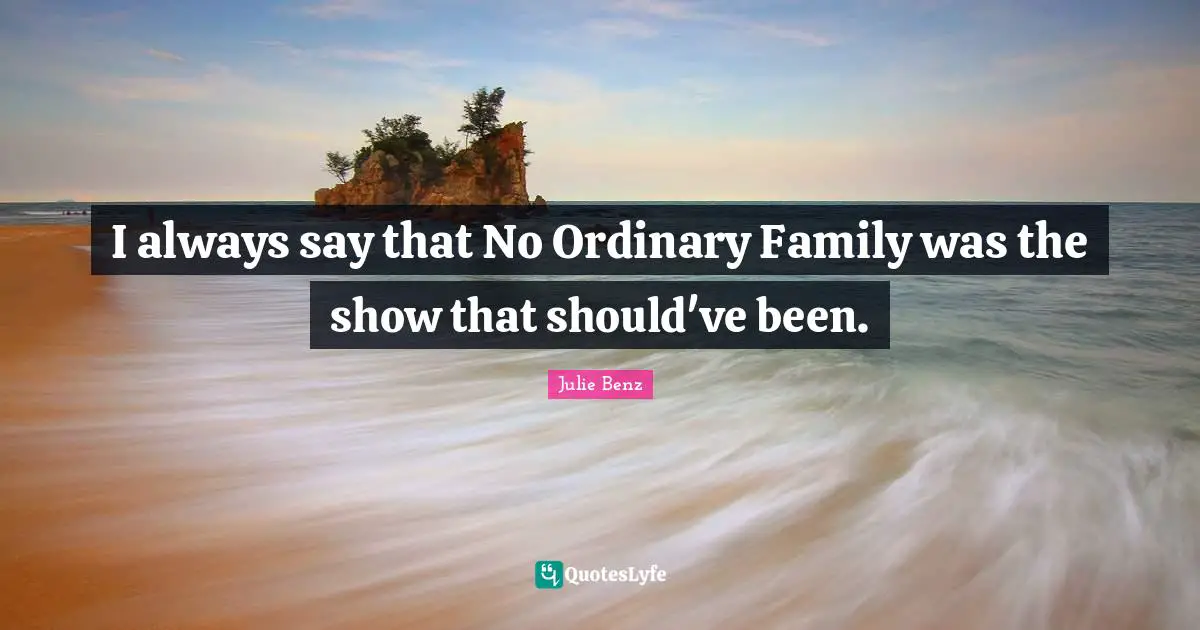 I always say that No Ordinary Family was the show that should've been.