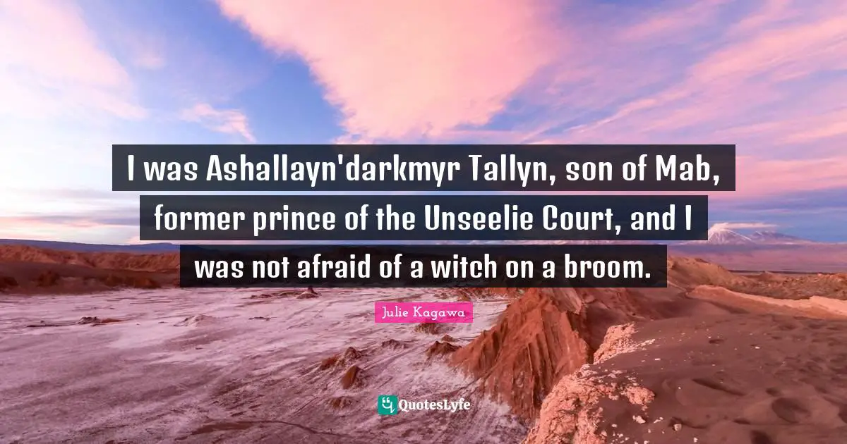 I was Ashallayn'darkmyr Tallyn, son of Mab, former prince of the Unseelie Court, and I was not afraid of a witch on a broom.