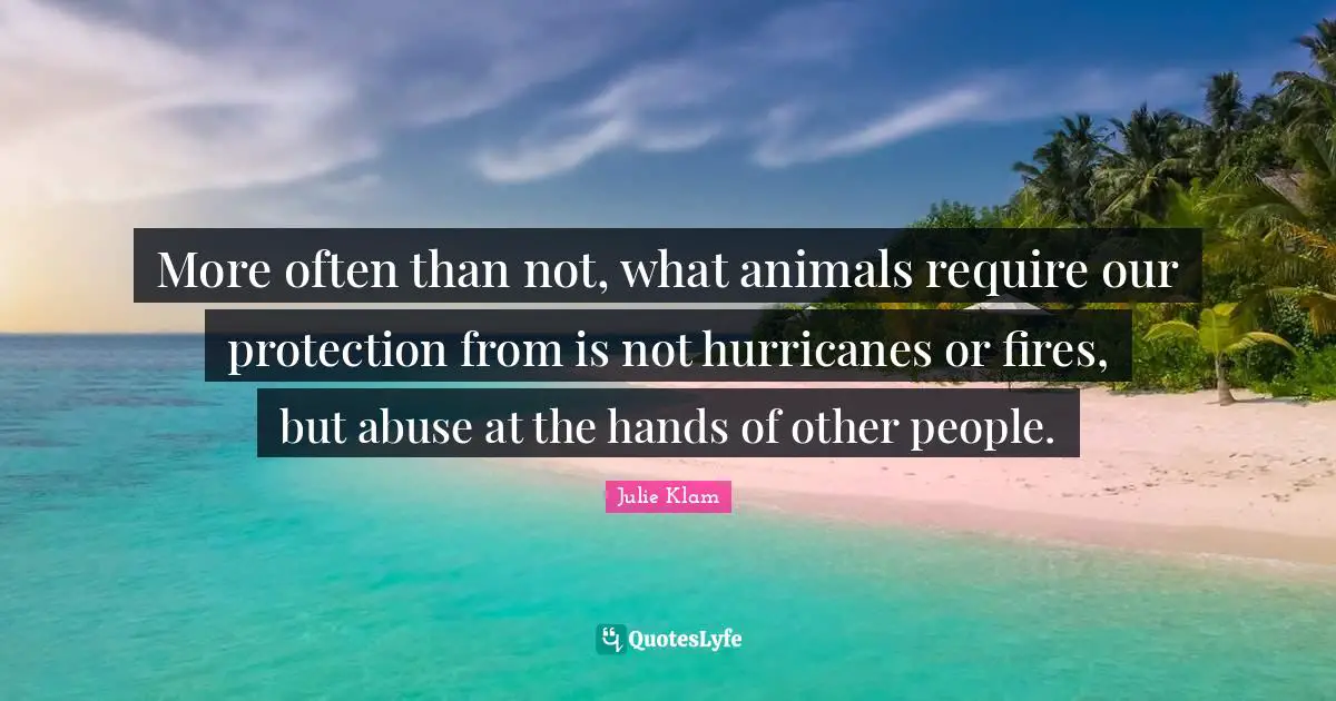 Hurricanes Quotes: "More often than not, what animals require our protection from is not hurricanes or fires, but abuse at the hands of other people."