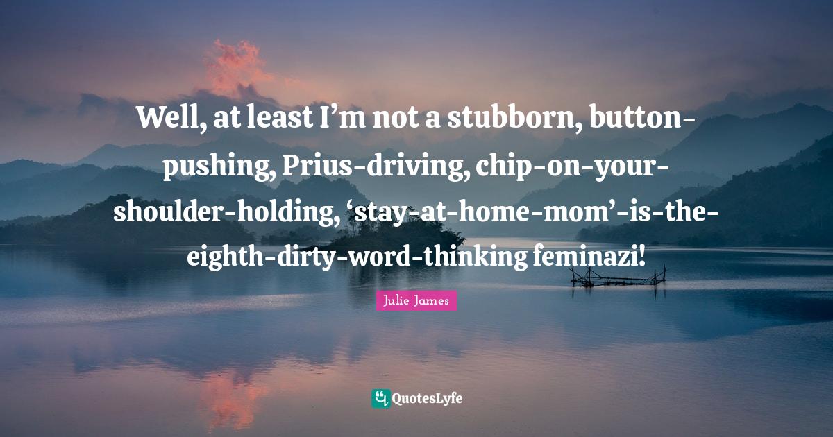 Well, at least I’m not a stubborn, buttonpushing, Priusdriving, ch