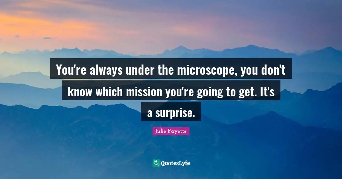 You're always under the microscope, you don't know which mission you're going to get. It's a surprise.