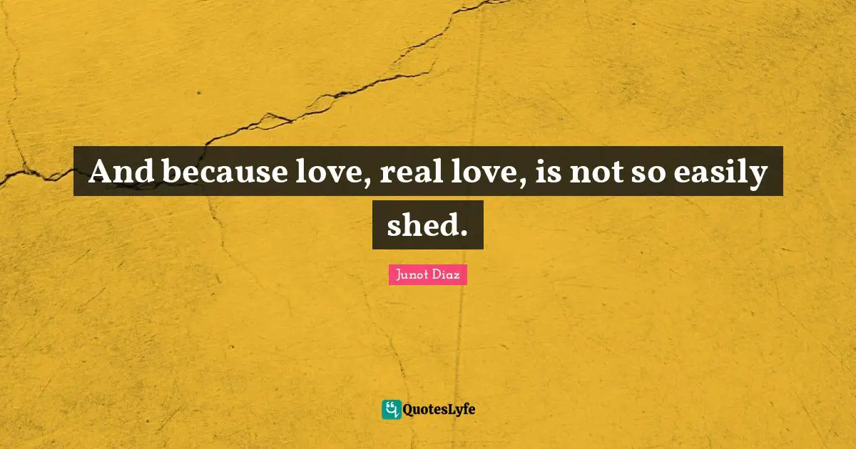 Junot Diaz Quotes: "And because love, real love, is not so easily shed."