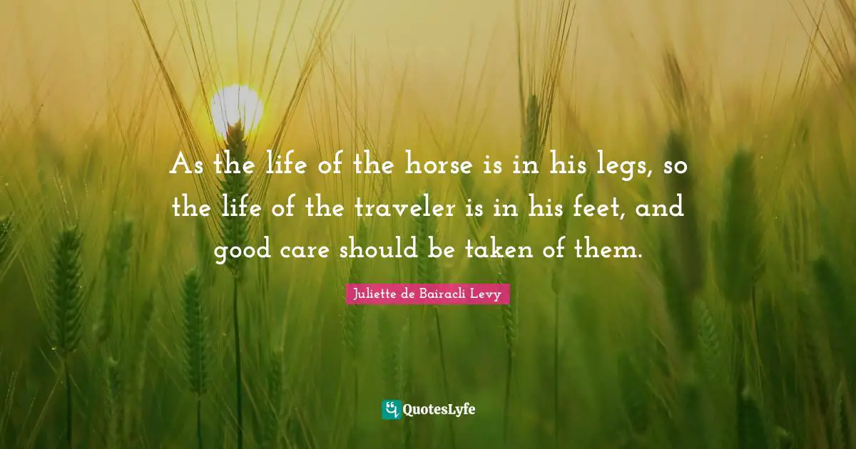 As the life of the horse is in his legs, so the life of the traveler is in his feet, and good care should be taken of them.