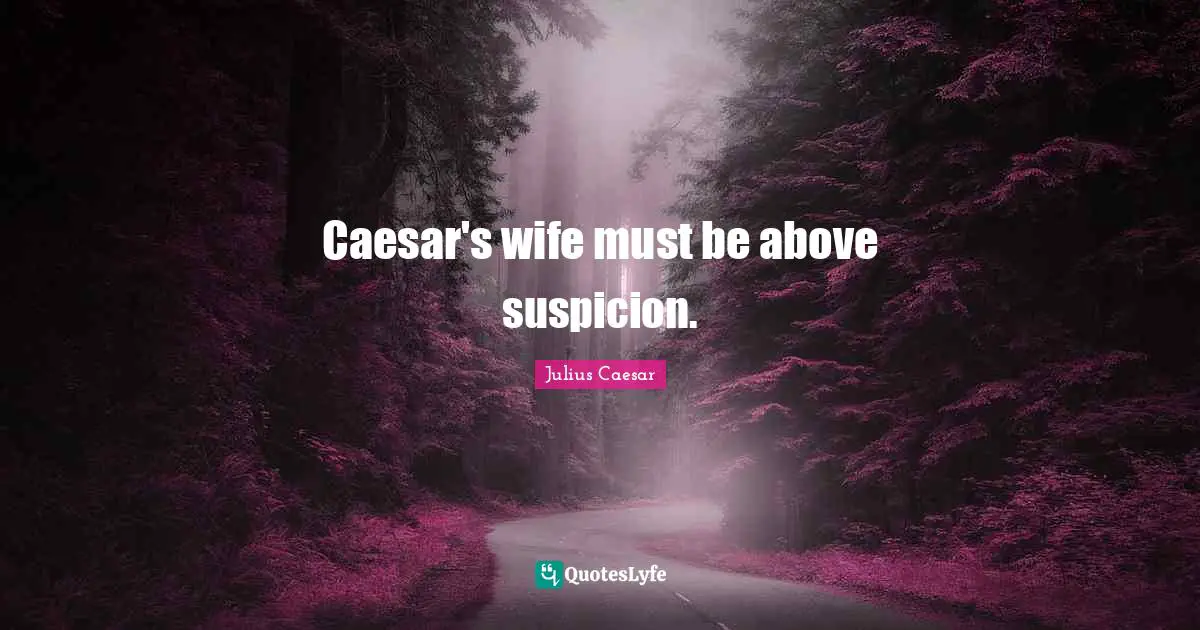Caesar's wife must be above suspicion.