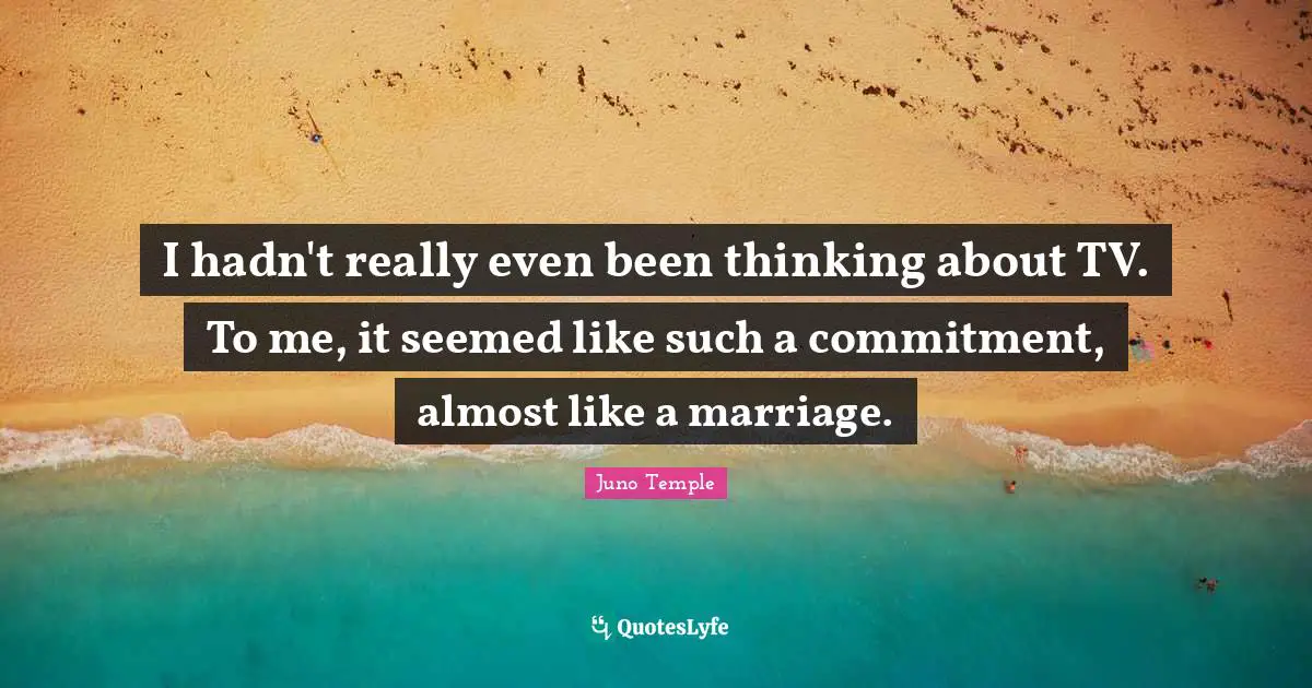 I hadn't really even been thinking about TV. To me, it seemed like such a commitment, almost like a marriage.