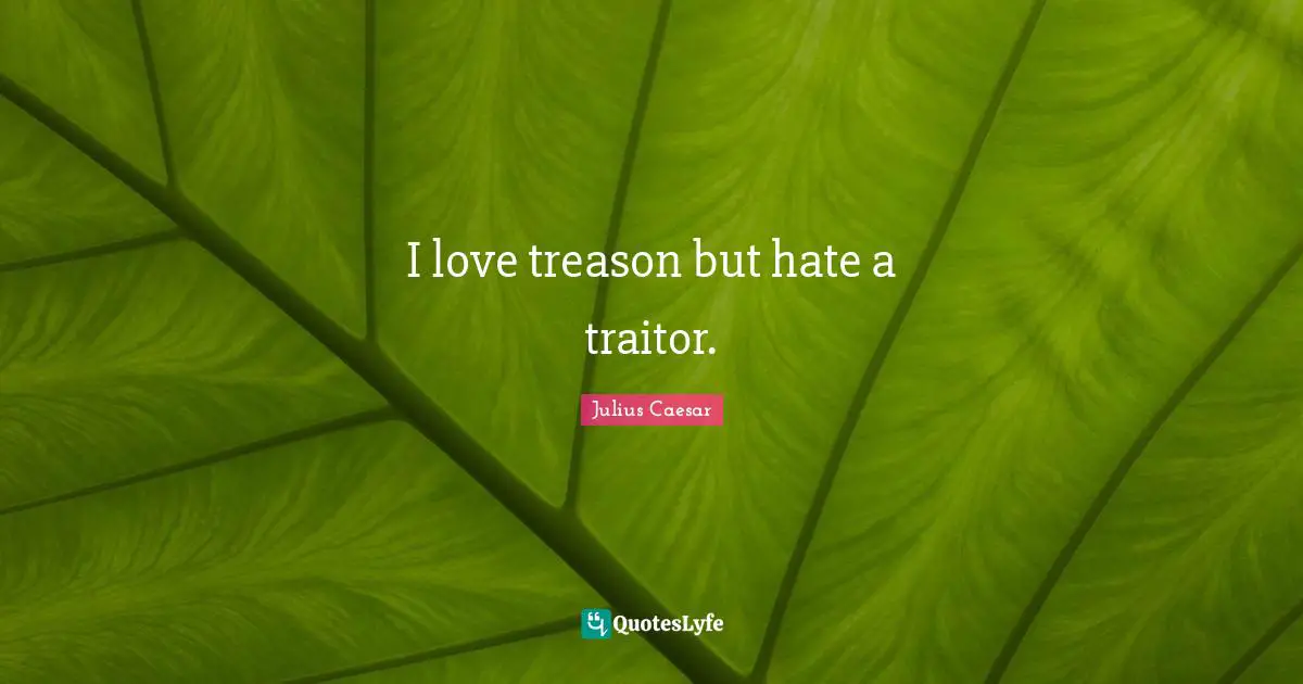 Traitor Quotes: "I love treason but hate a traitor."