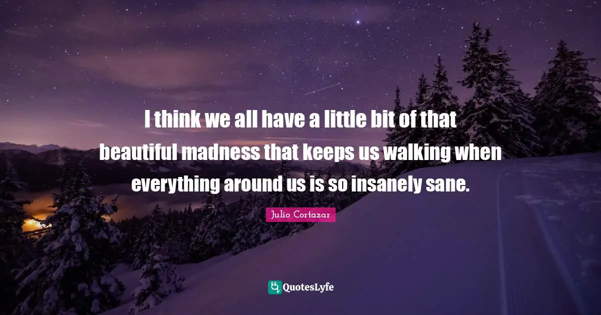 Walking Quotes: "I think we all have a little bit of that beautiful madness that keeps us walking when everything around us is so insanely sane."