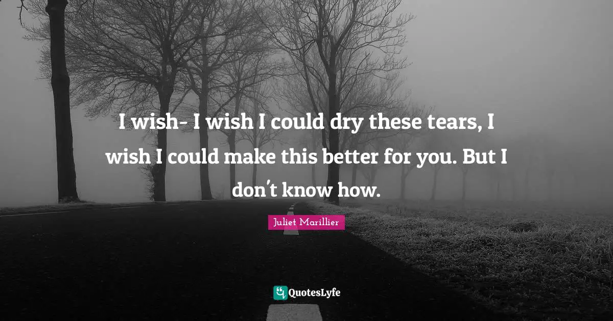I wish- I wish I could dry these tears, I wish I could make this better for you. But I don't know how.