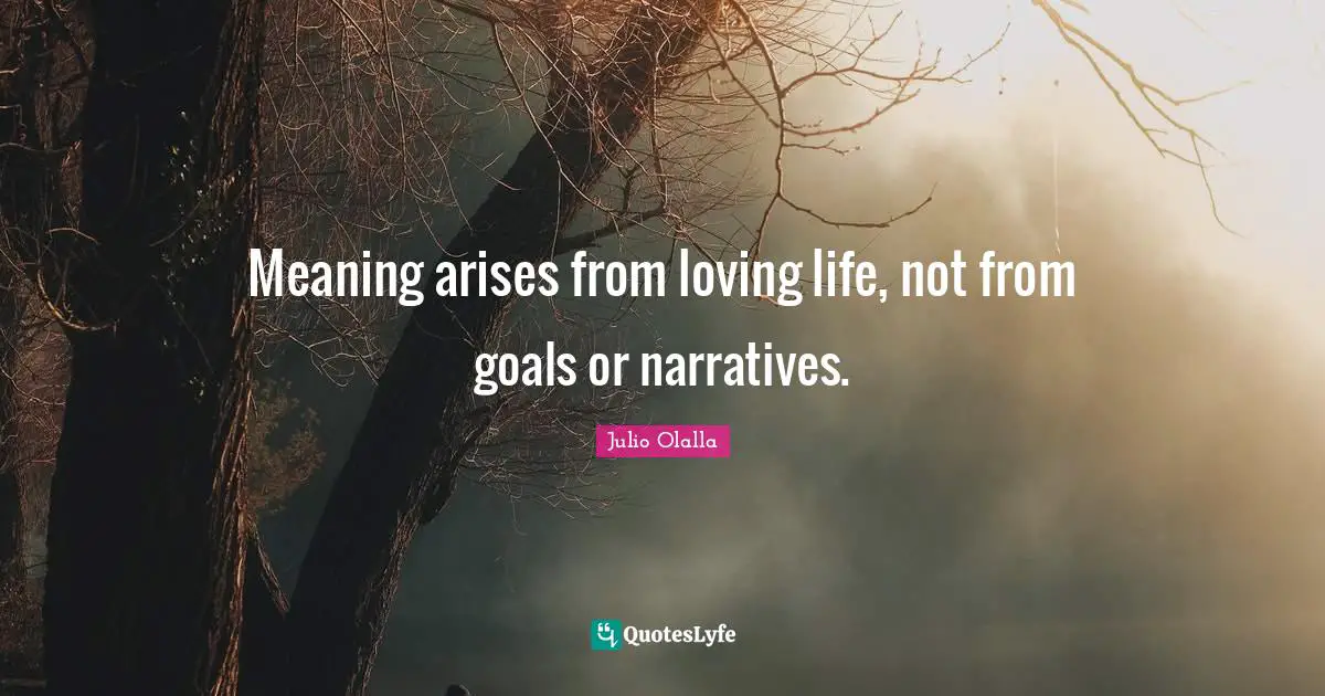 Meaning arises from loving life, not from goals or narratives.