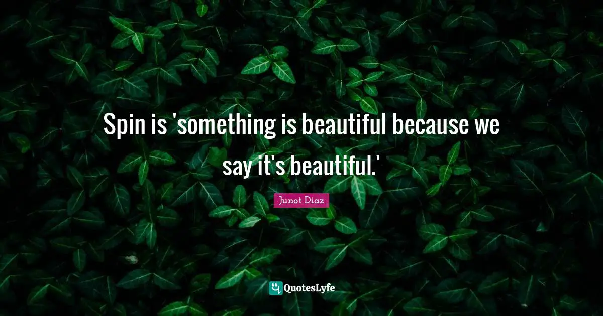 Spin is 'something is beautiful because we say it's beautiful.'