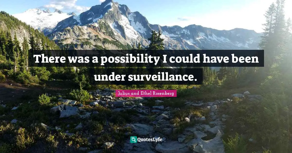 Could Have Been Quotes: "There was a possibility I could have been under surveillance."