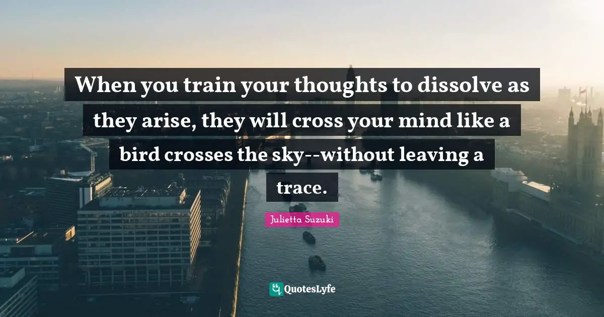 When you train your thoughts to dissolve as they arise, they will cross your mind like a bird crosses the sky--without leaving a trace.