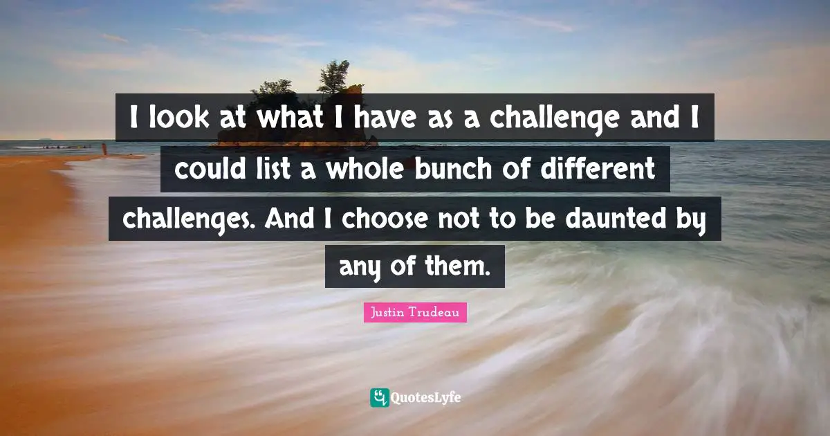 Bunch Quotes: "I look at what I have as a challenge and I could list a whole bunch of different challenges. And I choose not to be daunted by any of them."