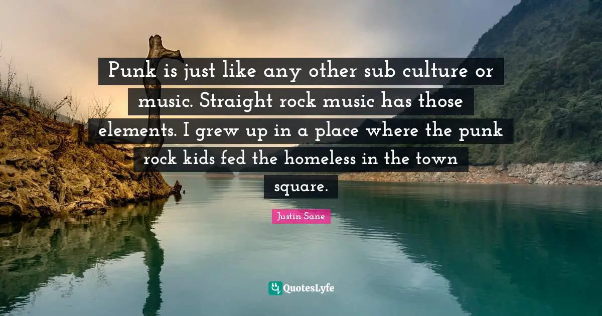 Punk is just like any other sub culture or music. Straight rock music has those elements. I grew up in a place where the punk rock kids fed the homeless in the town square.