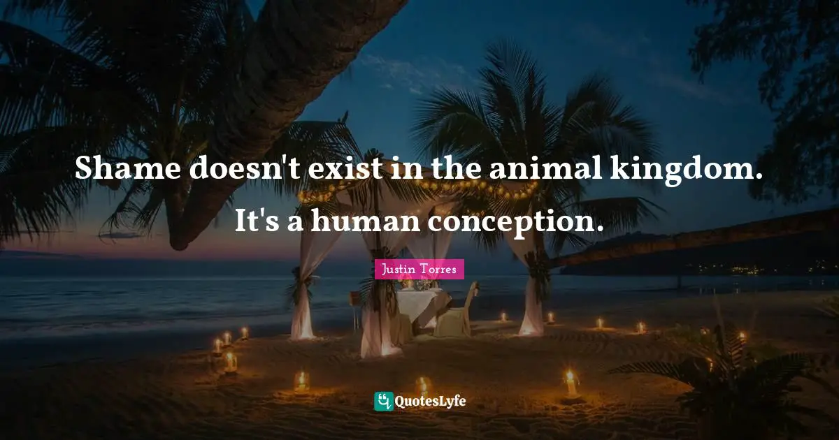 Shame doesn't exist in the animal kingdom. It's a human conception.