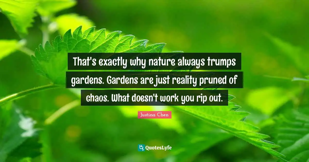 That's exactly why nature always trumps gardens. Gardens are just reality pruned of chaos. What doesn't work you rip out.