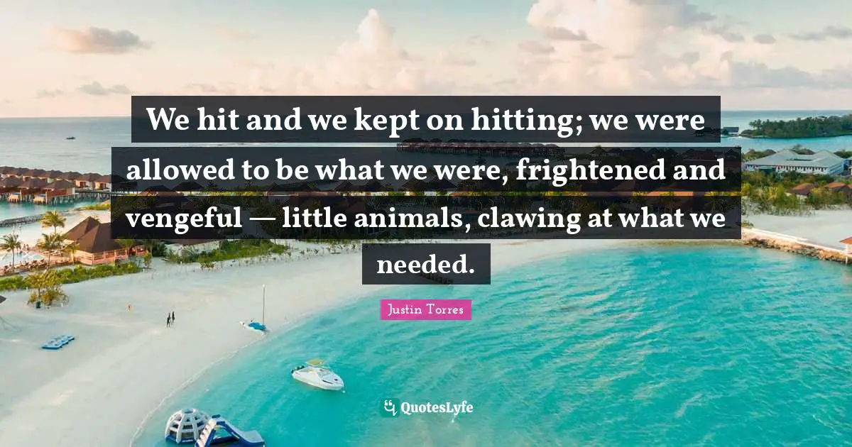 We hit and we kept on hitting; we were allowed to be what we were, frightened and vengeful — little animals, clawing at what we needed.