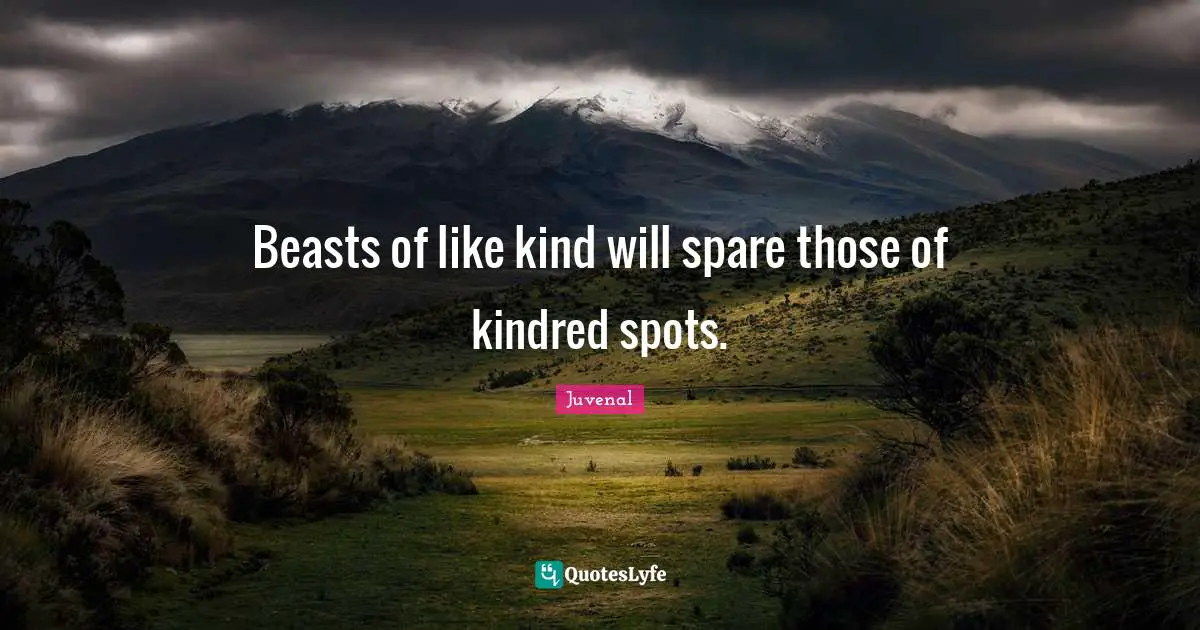 Beasts of like kind will spare those of kindred spots.