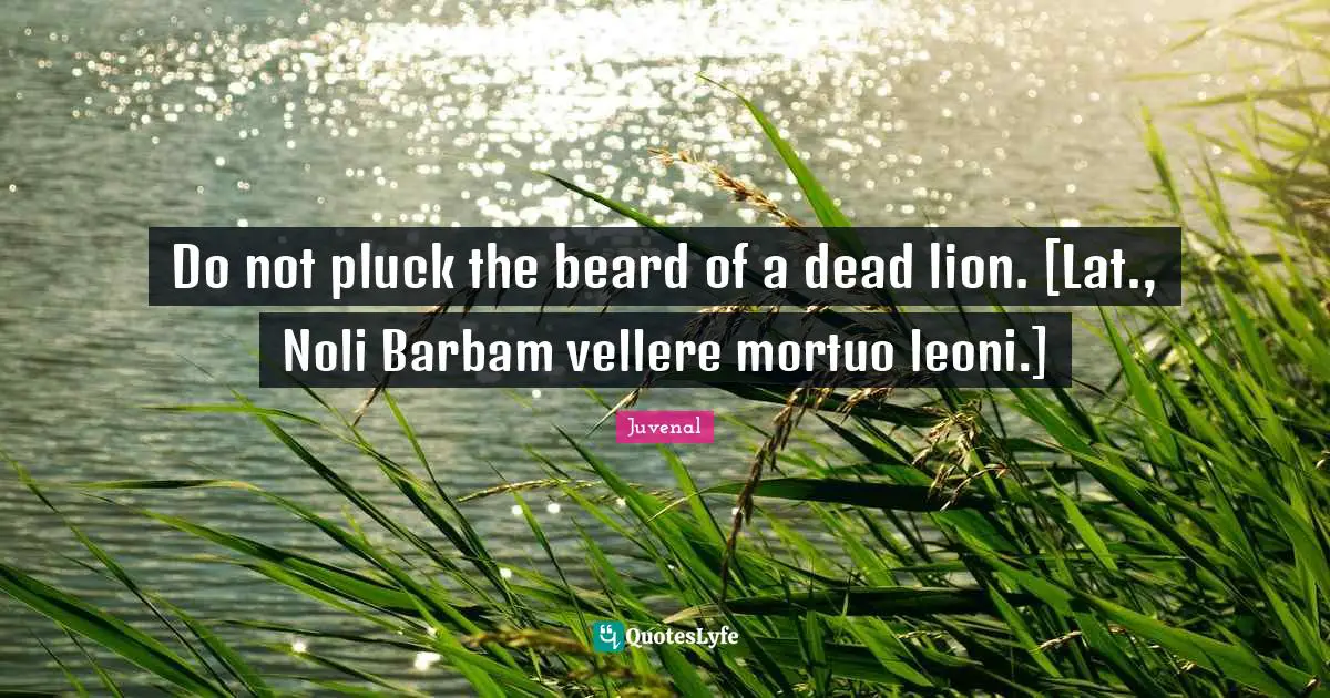Juvenal Quotes: "Do not pluck the beard of a dead lion. [Lat., Noli Barbam vellere mortuo leoni.]"